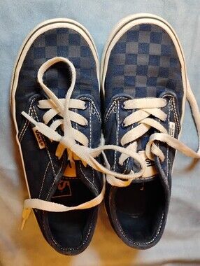 Vans checkered blue lace-up shoes